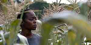 40 Acres (2024) vj junior Danielle Deadwyler
